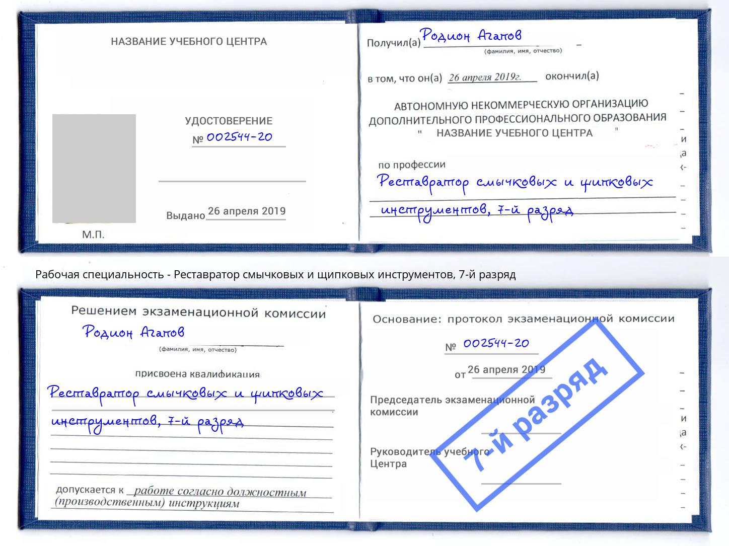 корочка 7-й разряд Реставратор смычковых и щипковых инструментов Абакан