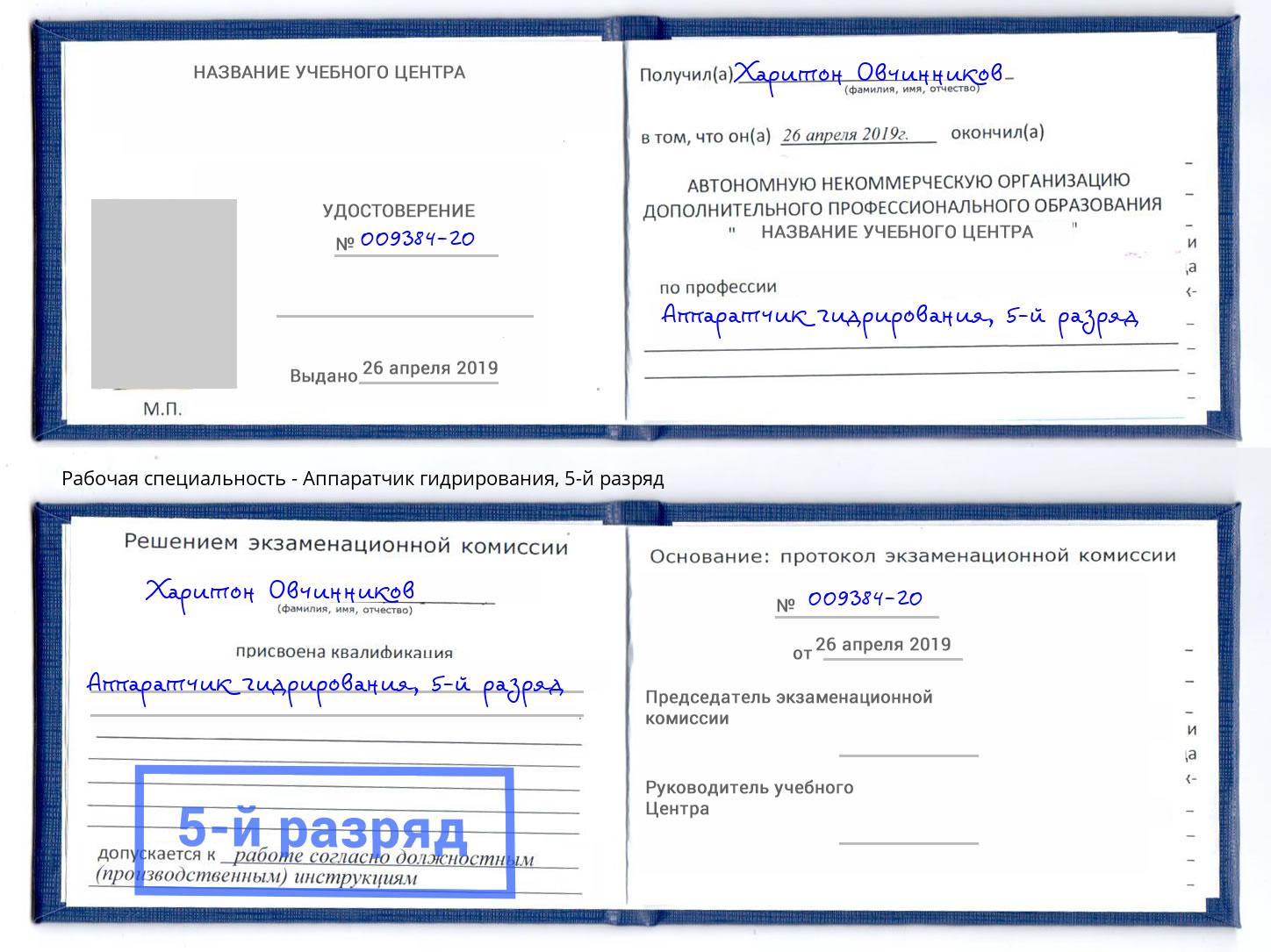 корочка 5-й разряд Аппаратчик гидрирования Абакан