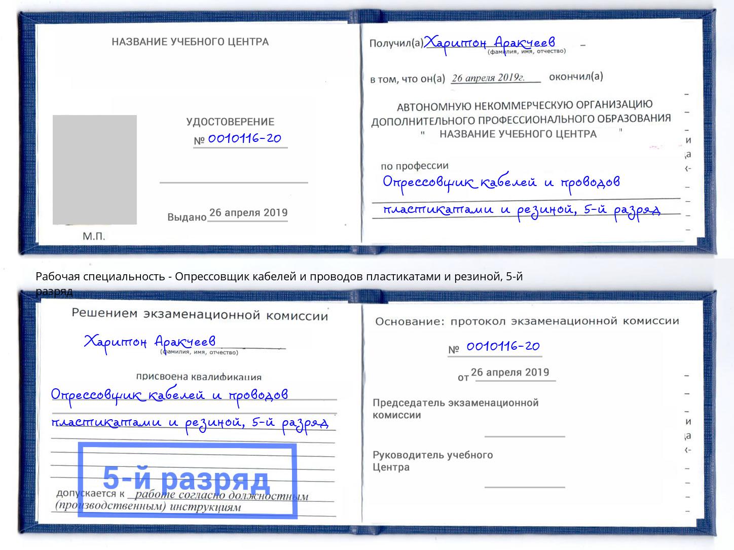 корочка 5-й разряд Опрессовщик кабелей и проводов пластикатами и резиной Абакан